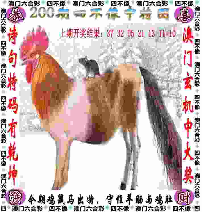 来看谁是“山东好汉”，2024山东省青少年自由搏击联赛（青岛崂山站）黄金周开赛