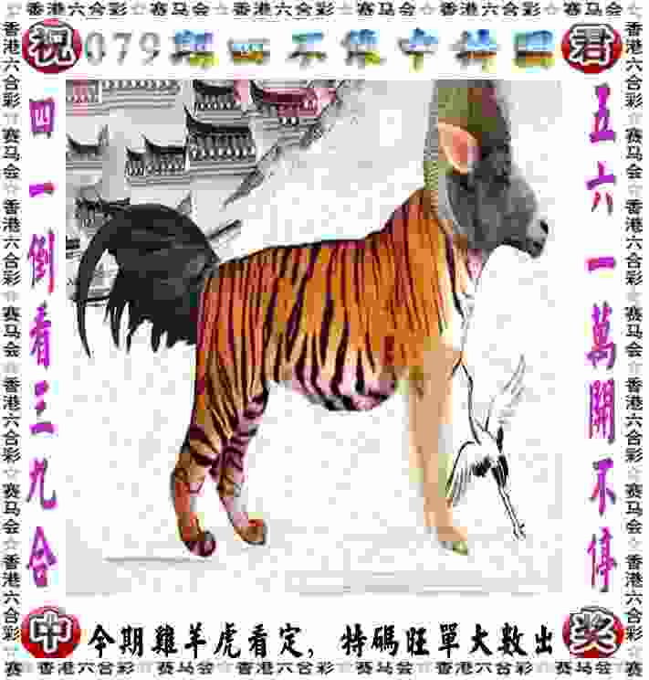 来看谁是“山东好汉”，2024山东省青少年自由搏击联赛（青岛崂山站）黄金周开赛